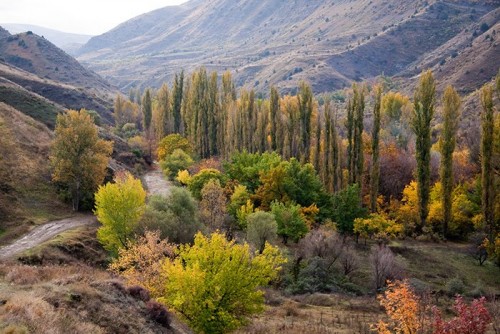 THE KHOSROV RESERVE2